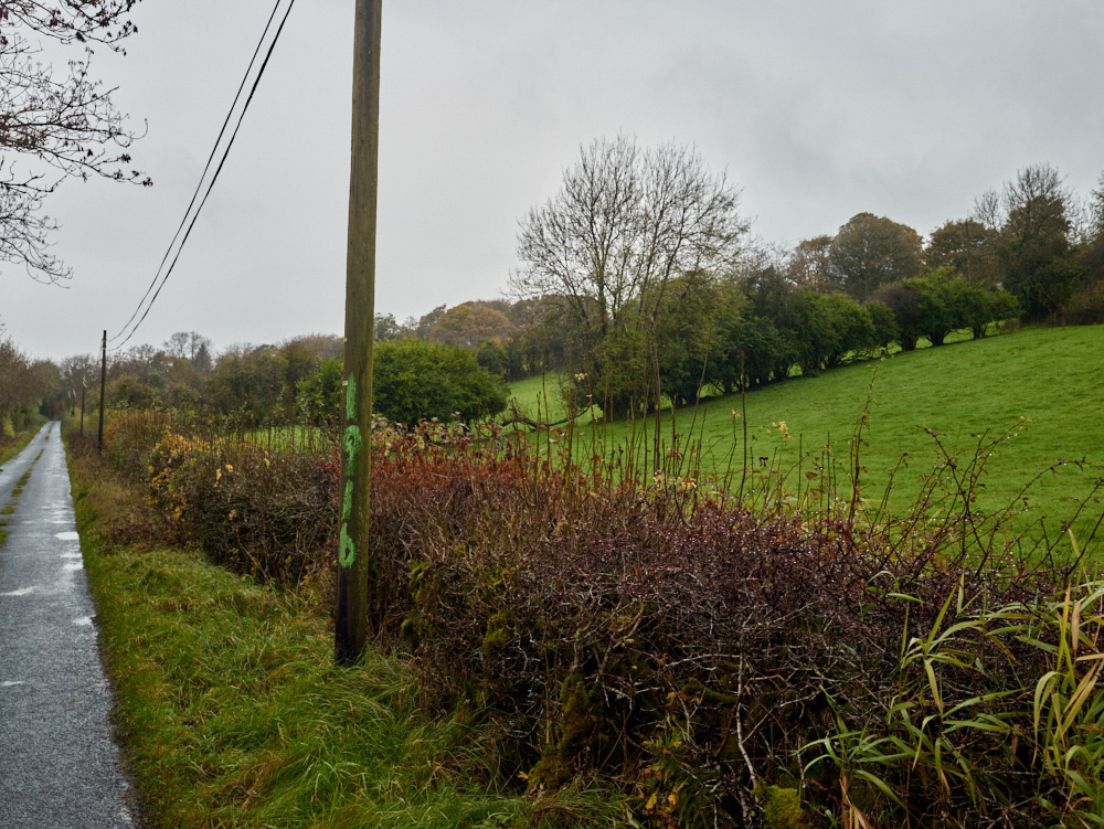 '1916', County Fermanagh